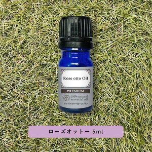y2_wŃx_[z &SH v~A GbZVIC [YIbg[ ( uKA _}XN[Y ) 5ml / A}  A100% VR sA A}IC IC Mtg v[