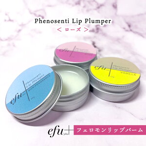 y2_wŃx_[zl񂹂 tF e &SH efu+ tFmZeB bvvp[ [Y [ IXtF tF z ŋ  fB[X  p A