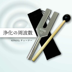 y2_wŃx_[z &SH 4096Hz `[i[  o[}bg p ܕt [ 4096HZ 4096Hz`[i[  ̉  ObY 򉻃ObY Xs`A Xg[ p[Xg[ VR K