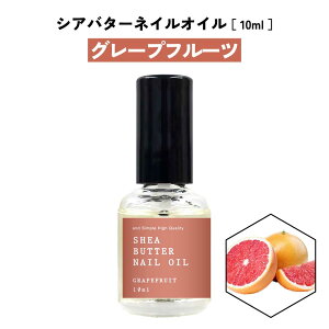 y2_wŃx_[z Iׂ10  &SH VAo^[ lCIC 10ml [  lC lCPA VAIC VA lCet L[eBNIC Ô  񖇒 C ܃PA 