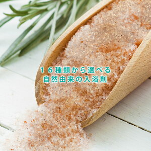 y2_wŃx_[z &SH y16ނIׂoX\g܁z fbhV[\gICY 35g AhGXGC` [ oX\g  A}oX C̉  Xppi A}oX 