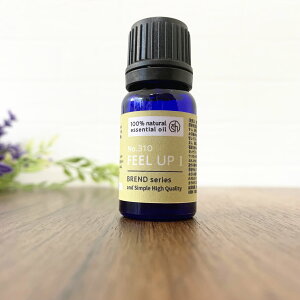 y2_wŃx_[z &SH A100uh GbZVIC 10ml NO.240 Feel up I AhGXGC` [  s C񂾎 C` xKbg CC A} A}I