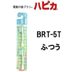 y2_wŃx_[z dtuV nsJփuV y BRT-5T ӂ z[ nsJ ւ duV ͂҂ nuV ] +lt7+y `O  z