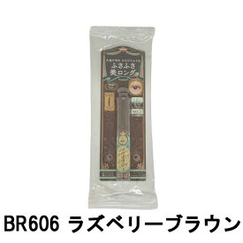 【2点購入でラベンダー】 資生堂 マジョリカマジョルカ ラッシュエキスパンダー ロングロングロング EX BR606 ラズベリーブラウン [ shiseido MAJOLICA MAJORCA マジョマジョ マジョ マスカラ ふさふさ美ロングマスカラ ロングマスカラ アイメイク 美ロングまつ毛 ]