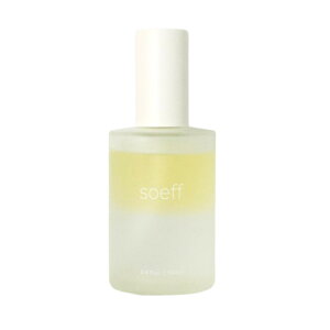 y2_wŃx_[z soeff ICCZ ( ؘ@ / ؍ / sA / sA؍ ) 100ml [ \t wAIC LNZC }`IC {fBIC tFCXIC 􂢗Ȃ g