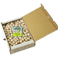 【祖父江町山崎産銀杏】贈答品に最適！久治銀杏2L　1kg（久寿銀杏）【10月中旬発送分】