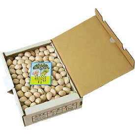 【祖父江町山崎産銀杏】贈答品に最適量！久治銀杏L　1kg（久寿銀杏）