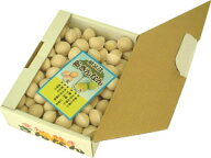 【祖父江町山崎産銀杏】久治銀杏2L　500g（久寿銀杏）【10月中旬発送分】