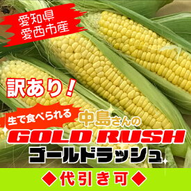 予約受付中！【産地直送】愛知県愛西市産朝採りとうもろこしゴールドラッシュ規格外20本【複数購入の場合送料は後ほどお知らせします】