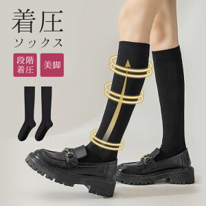 \bNX  nC\bNX ̎q fB[X C \bNX w Z ȍ ubN  wZ t[TCY [Y\bNX Vv r XbL ނ݉ ނ Ђ 