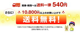 【あす楽】【ネコポス送料一律350円】宮本算数教室の教材賢くなるパズルDS版t100
