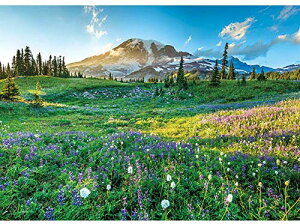 WO\[pY 500s[X yȂ}Eg[jA (38x53cm)(500-269) Abv 60cm t102