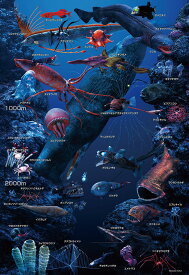 150ラージ 深海の生物おぼえちゃおう! (26×38cm) (L74-191) ビバリー 梱60cm t102
