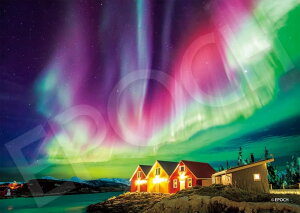 WO\[pY 500X[p[X[s[X Ei I[P?mEF[ (18.2×25.7cm)(52-807) G|bN 60cm t101