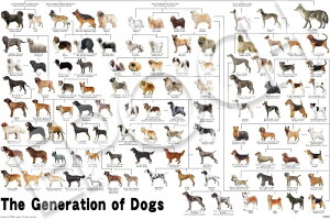 WO\[pY 1000s[X ybg ̌n} i50×75cmj(12-625s) G|bN 60cm t102