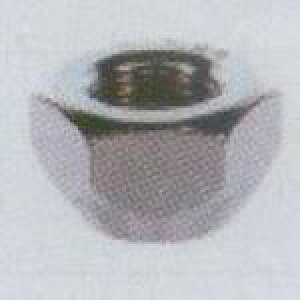 �z�C���i�b�g�i�ђʃi�b�g�j 100�� 12×P1.25 21HEX �yMoveon�z / N10-12-125-100