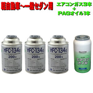 GARKX 134A Zbg P-444 yԁ`ʃZ_p {i HFC-134aKX200g 3{+PAGRvbT[ICKX10cc 1{jy J[N[[KX S