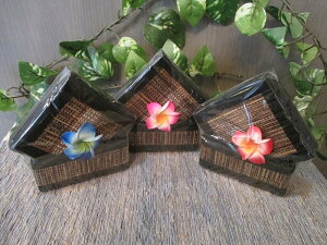 R[X^[ coffee XNGA R[X^[ Zbg 10 p[eB[ AWA o G