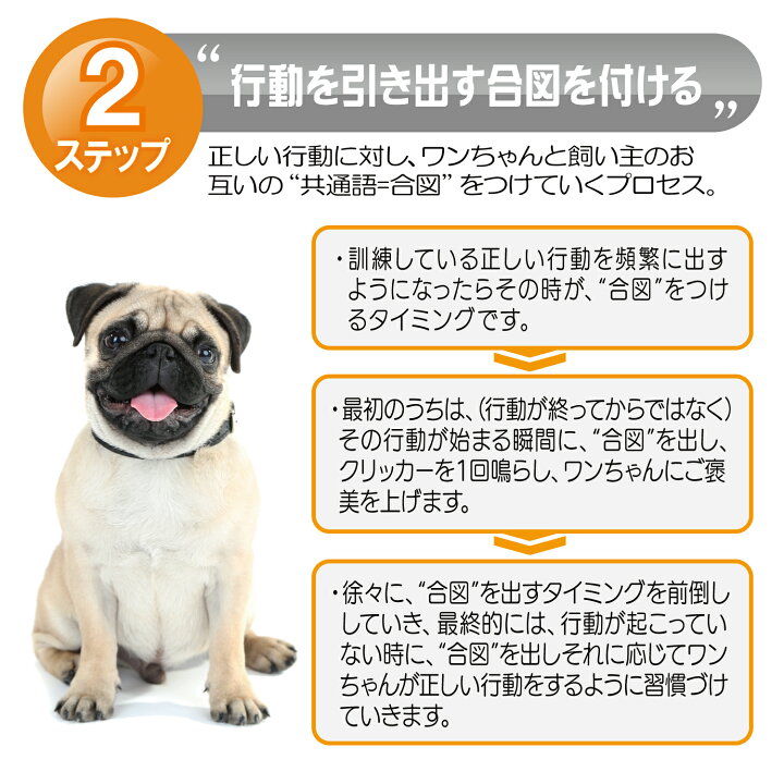 楽天市場】クリッカー (色:ブラック・黒) ペットのしつけ、トレーニングに (犬 猫 うさぎ 鳥 インコ など) カチッとしっかりとした音がなり おやつ と一緒に訓練することでペットとコミュニケーション : パワーバリュー本舗 楽天市場店 楽天市場】クリッカー (色:ブラック・黒) ペットのしつけ、トレーニングに (犬 猫 うさぎ 鳥 インコ など) カチッとしっかりとした音がなり おやつ と一緒に訓練することでペットとコミュニケーション : パワーバリュー本舗 楽天市場店