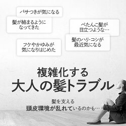 《ノンシリコンシャンプー&トリートメント》【送料無料】DeAU(デアウ)ヘアケア各1本セット【アミノ酸系薬用シャンプー/美容室/サロン】【コンビニ受取可】