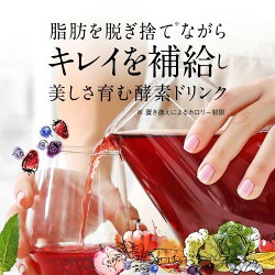 ファスティングメイトヌグ酵素ドリンク【FastingMateNuGooプチ断食短期ダイエット置き換えジュース美容エンザイム】