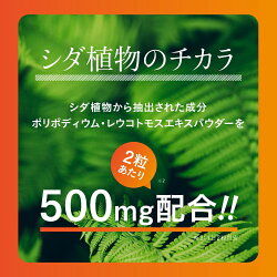 ヘリオスキン/シダ抽出物/ビタミン/紫外線/日焼け/UV/サプリ