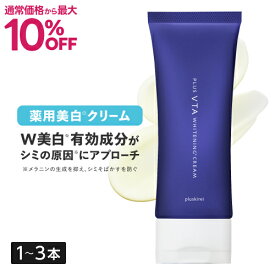 [通常価格より最大10％OFF] ハイドロキノン 誘導体 薬用 美白クリーム シミ そばかす ニキビ 肌荒れを防ぐ アルブチン トラネキサム酸 ビタミンC誘導体 高保湿 シミ取り クリーム 医薬部外品 プラスVTAホワイトニングクリーム 100g 2ヶ月分 1～3本 [メール便]