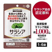 楽天市場】血液サラサラ サプリ dhcの通販
