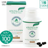 ピクノジェノール サプリ エクセレントプラス 【美容クリニック 橋本医師監修 サプリメント】 100mg （4…