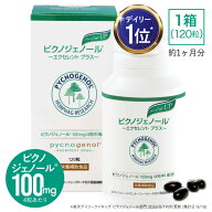 ピクノジェノール サプリ エクセレントプラス 【美容クリニック 橋本医師監修 サプリメント】 100mg （4…