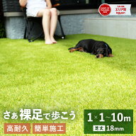 ★FIFA公認生産工場★ 人工芝 リアル人工芝 オークモント1m 5m 10m 芝丈18mm 38mm 2タイプ ピン ロール …