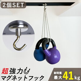 【2個セット】マグネット フック【垂直耐荷重41kg】 強力 超強力 ネオジム磁石 コンパクトサイズ 直径36mm インテリア 収納 キッチン収納 玄関 1000円ポッキリ 送料無料
