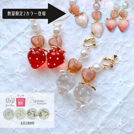 16金コーティング 苺 いちご フルーツ ハート ピアス イヤリング 樹脂ピアス 金属アレルギー ゆめかわ ゆめかわいい ロリータ 赤 ホワイト 白 透明 ブラウン 高品質 おしゃれ 個性的