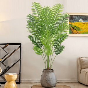lHϗtA tFCNO[ AJV   A sv Vv CeAO[   ϏܐA 180cm QSzȂ sv j  ގ ޏ a 