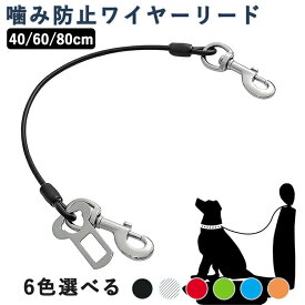 リード 犬 噛み防止ワイヤーリード 犬用 耐咬ロック付き 錆びないステンレス製 小型犬から大型犬まで対応 しつけ訓練用 単装着 飛び出し防止 カラビナで首輪 ハーネスに簡単装着 屋外係留用 40cm/60cm/80cm 長さ選択可能 プレゼント ギフト 贈り物 送料無料