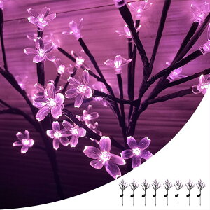 TN \[[Cg K[fCg C~l[V ݎ ߍݎ O dC[ LED h