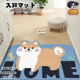 ラグカーペット 室内用 屋内用 おしゃれ 滑り止め 裏面すべりにくい加工 吸水 防汚 玄関マット じゅうたん トイレ ベランダ 足拭き 泥落とし 洗える すべり止め 生地 抗菌 防臭 家庭用 動物柄 異型 不規則な形状 かわいい 大判 プレゼント ギフト 贈り物 送料無料