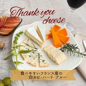 thank you cheese l 39 TL[ `[Y lߍ킹 u[ ~bg t t_x[ tX ǂȂł Hׂ₷ ₳ ₩ Mtg Zbg Ε v[g  