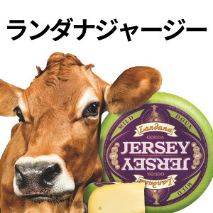 【 ランダナ ジャージー マイルド 150g 】 濃厚 芳醇 外国 ヨーロッパ オランダ セミハード チーズ ミルキー ゴーダ ワイン 合う お酒 お供 料理 宅飲み 家飲み おつまみ お土産 贈り物 ギフト