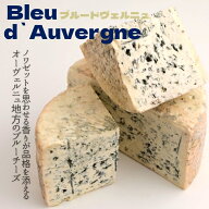 【 ブルード ヴェルニュ 各サイズ 】フランス ワイン 合う 青かび ブルー チーズ ノワゼット ヘーゼル ナ…