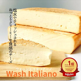 【 ウォッシュ イタリアーノ 約140g~150g】 しっとり 穏やかな 塩水 ウォッシュ チーズ ワイン 初心者 ねっとり クリーミー 四角形 ストラッキーノ ピエモンテ やさしい かおり 香り オードブル 贈り物 かんたん 簡単