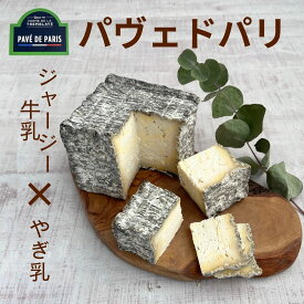 【 パヴェ ド パリ 110g 】 フランス 3ヶ月 熟成 ジャジー シェーブル 石畳 ソフト チーズ やぎ 山羊 ヤギ 山羊乳 なめらか 炭 本格派 酸味 旨味 しかく 四角 ギフト 贈り物 ご褒美 お酒 好き ワイン