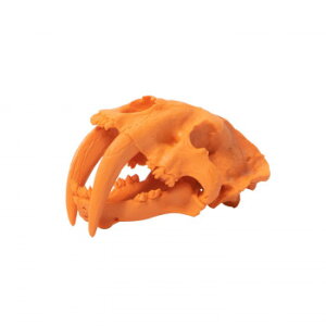 FB-001 zlPV X~hXJ IW 77601