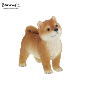 Benny's シバ QB-029
