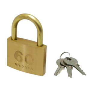 2045D V_[싞60mm 3{L[ 00017249-001