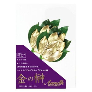 AK {vU[uh ̍SSV gSK-005