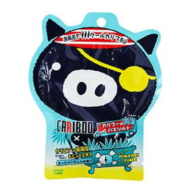 五洲薬品　入浴用化粧品　カリブーの爽海バスソルト(粒塩)　50g×10包　MCA-20