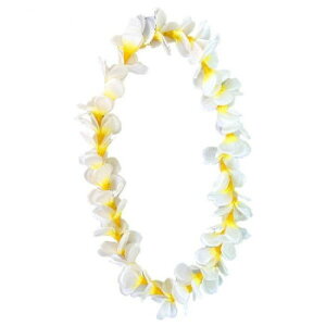 �v�������A���C�@�z���C�g 703/08