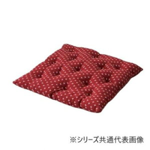 �N�b�V���� ���z�c �u���D�v ���[�Y 45×45cm 1240880252204