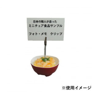 {El HiTv EtHgNbv ~jeq IP-556